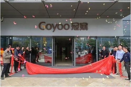入闽11载 龙湖共享福建城市化大潮奔涌