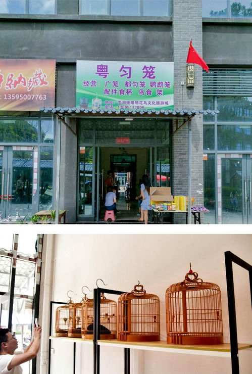 阳明花鸟文旅城鸟具业态区黄金旺铺 邀您共享商机 钱 景