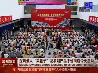 深视新闻 110929 深圳最大菜篮子及农副产品平价商店今天启动_深圳卫视视频_新浪播客