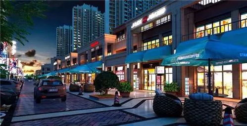 安阳想把日子过成诗,锁定 东府全临街商铺