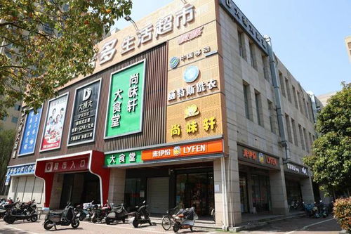 金汇镇旺铺上新，商机无限，欲租从速！